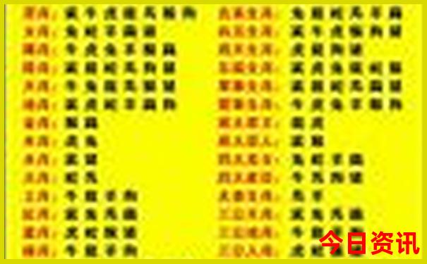 澳门一肖一码100%